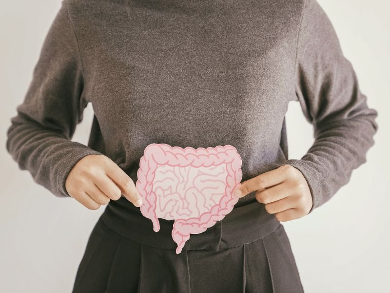 Modulação Intestinal